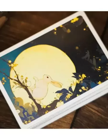 Round Moon Playing Cards by TCC Fashion – Cărți de joc premium | Emagie.ro