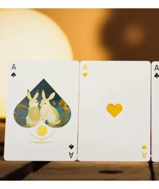 Round Moon Playing Cards by TCC Fashion – Cărți de joc premium | Emagie.ro