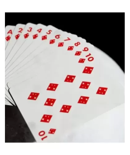 NASA Foil Meatball Logo Playing Cards – Cărți de joc premium | Emagie.ro 2