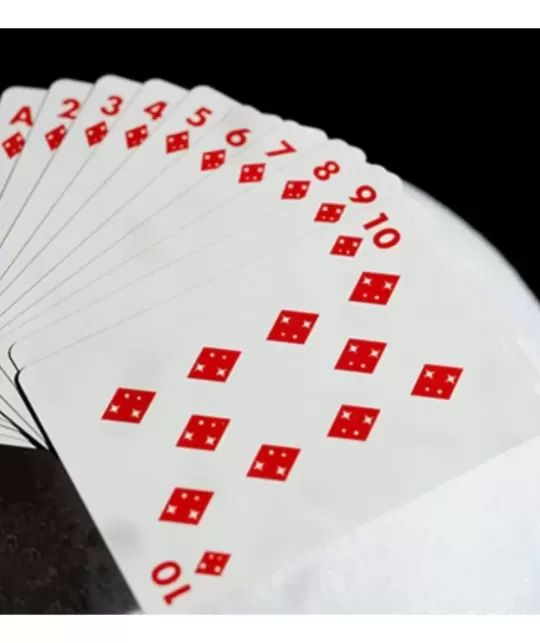 NASA Foil Meatball Logo Playing Cards – Cărți de joc premium | Emagie.ro