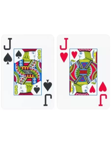 Copag Set 1546 100% Plastic Green Burgundy – Premium Playing Cards | Emagie.ro